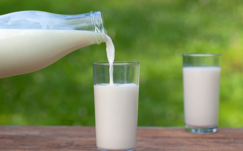 Preço do leite ao produtor captado em novembro cai 8,31%, aponta Cepea