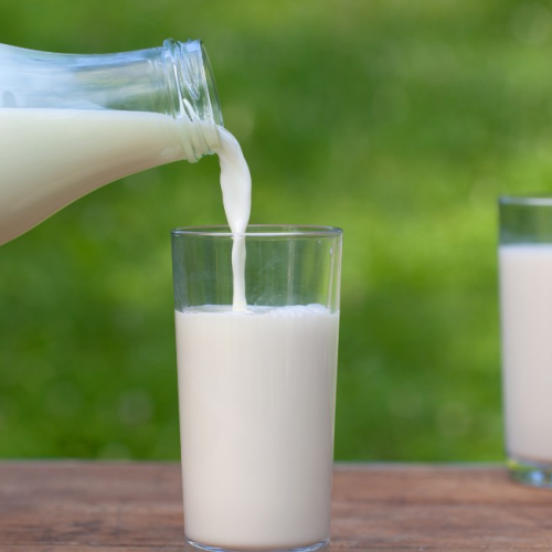 Bebida análoga ao leite? Setor lácteo cobra regras para nomes de produtos plant-based