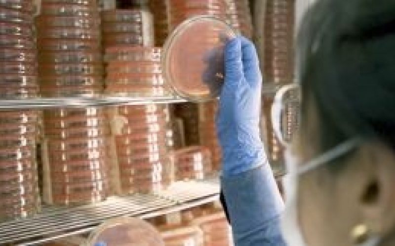 Nova plataforma de dados mostra crescimento do setor de bioinsumos