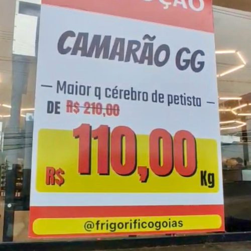Camarão GG a R$ 110,00 em Goiás, mas preço na comporta despenca mais de R$ 10,00: quem ganha com isso?