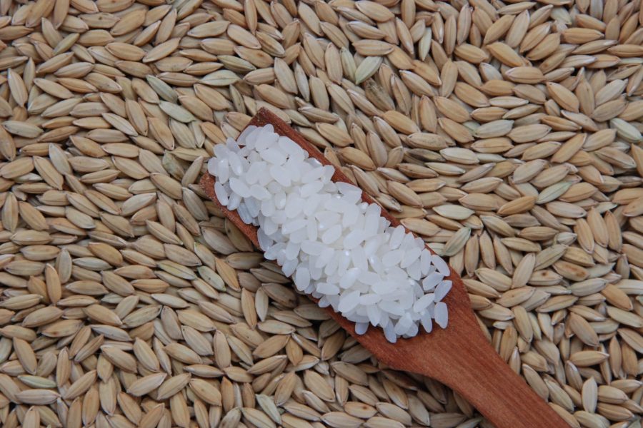 Preços do arroz em casca têm pequenas reações