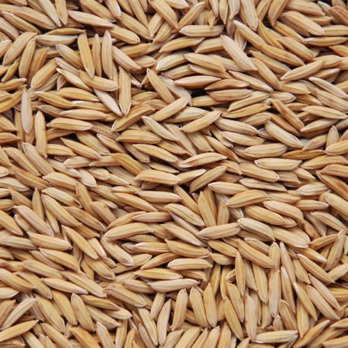 Preço do arroz estabiliza com ajuda da demanda interna e de oferta ajustada