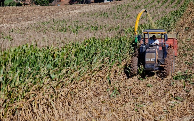 CMN aprova mudança em regulamento do Proagro para ano agrícola 2025/2026