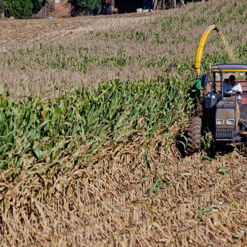 CMN aprova mudança em regulamento do Proagro para ano agrícola 2025/2026