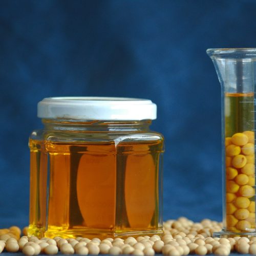 Óleo de soja sobe mais de 6% na bolsa de Chicago, mas não influencia grãos