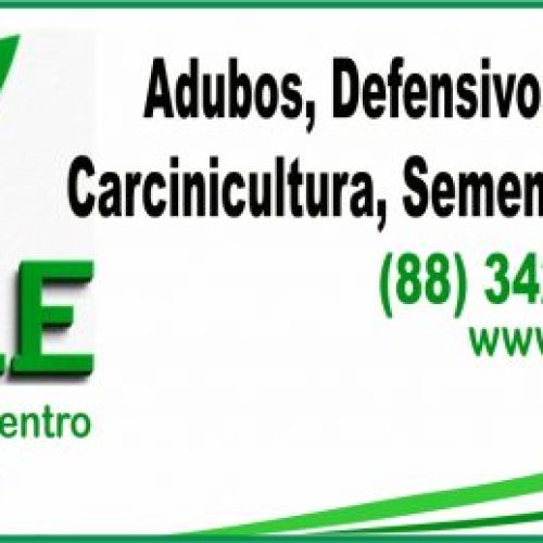 Limoeiro do Norte desponta como centro estratégico da produção de cacau no Ceará