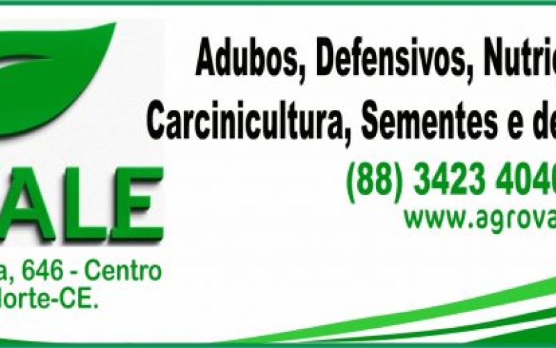 Limoeiro do Norte desponta como centro estratégico da produção de cacau no Ceará