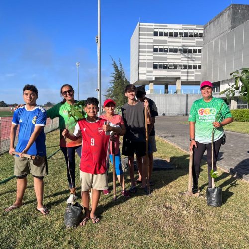Projeto Esporte em 3 Tempos planta 50 mudas no CFO