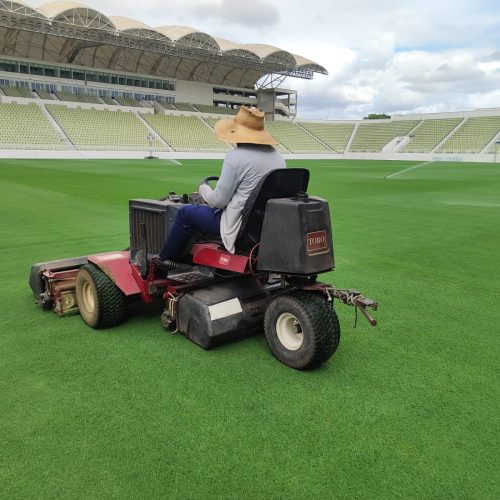 Arena Romeirão inicia preparativos no gramado para 2026