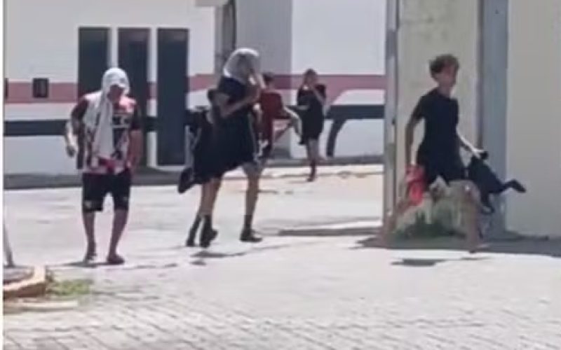 Abelhas atacam adolescentes no centro de treinamento do Ferroviário; área é isolada pelo Corpo de Bombeiros