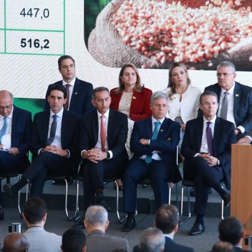 Banco do Nordeste destinará R$ 11,7 bilhões à agricultura empresarial no novo Plano Safra