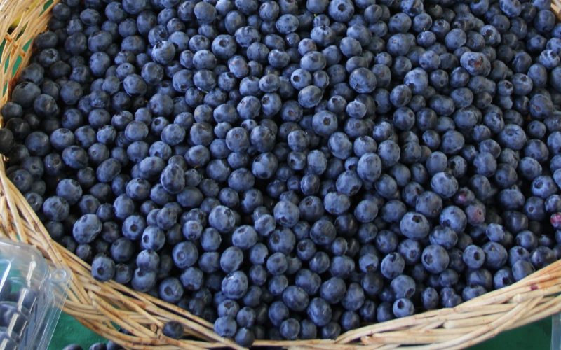 Do açaí ao maracujá: cinco frutas brasileiras que conquistaram o mundo