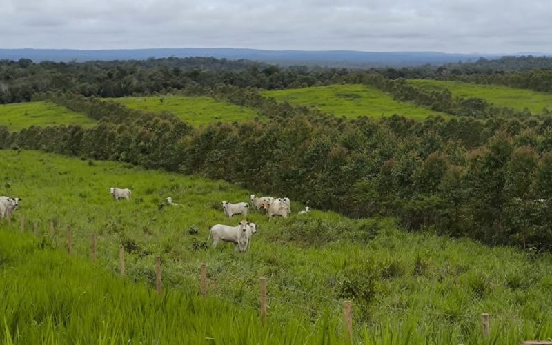 Conferência vai discutir avanço da agricultura regenerativa no país