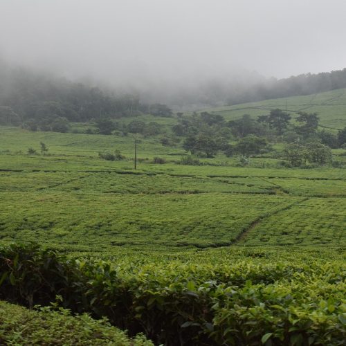 Chuva forte e calor excessivo predominam em grande parte do Brasil