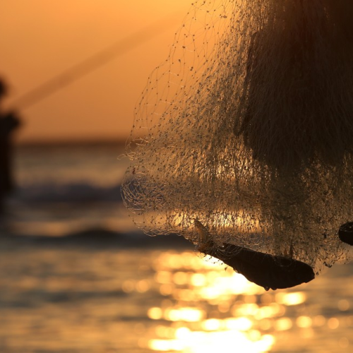Período de defeso da piracema está em vigor até o final de fevereiro no Estado de São Paulo