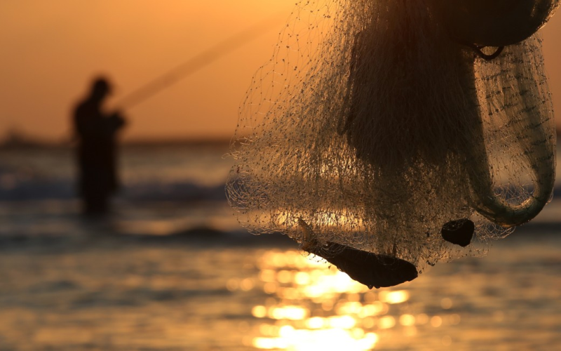 Período de defeso da piracema está em vigor até o final de fevereiro no Estado de São Paulo