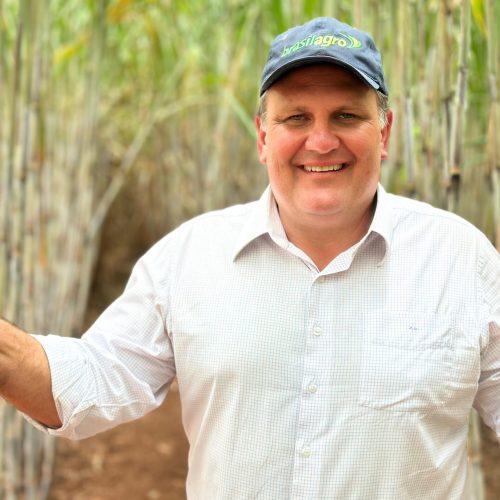 BrasilAgro voltou ao lucro no segundo trimestre