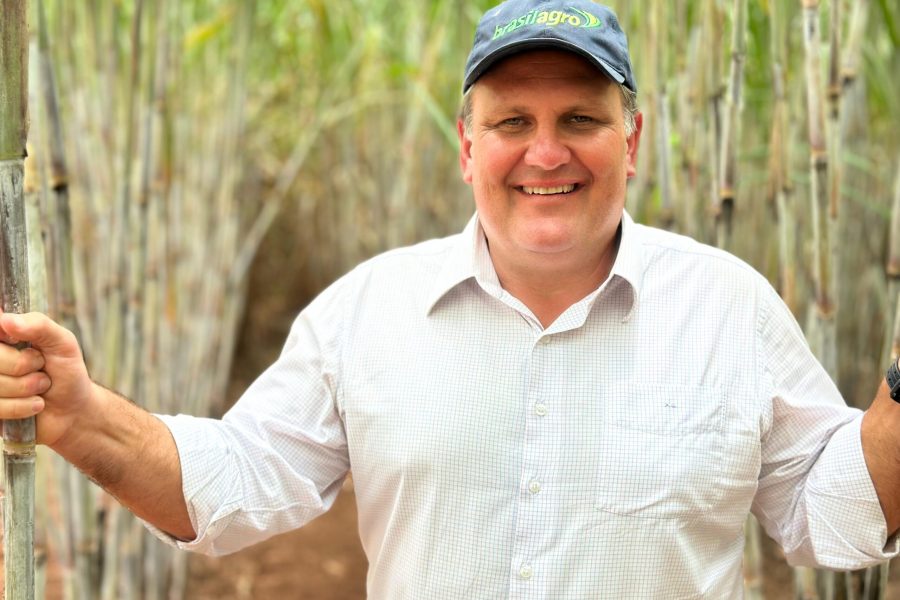 BrasilAgro voltou ao lucro no segundo trimestre