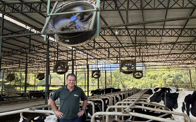 Como uma fazenda de MG alcançou produtividade de leite quatro vezes acima da média nacional