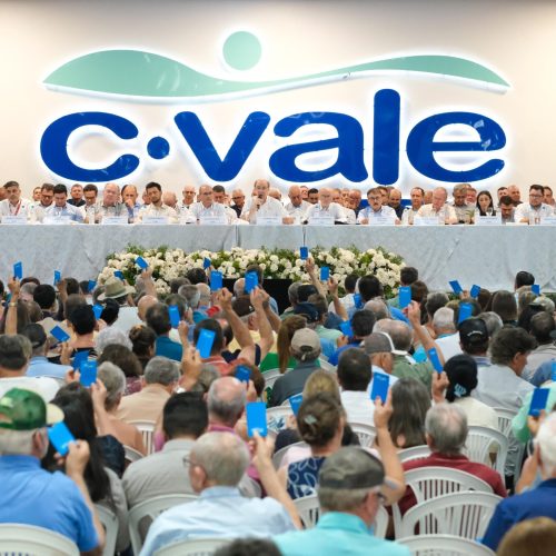 Faturamento da C.Vale alcançou R$ 25 bilhões em 2025