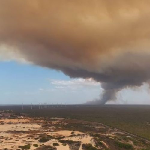 Incêndio de grandes proporções atinge vegetação em Aracati e mobiliza Corpo de Bombeiros