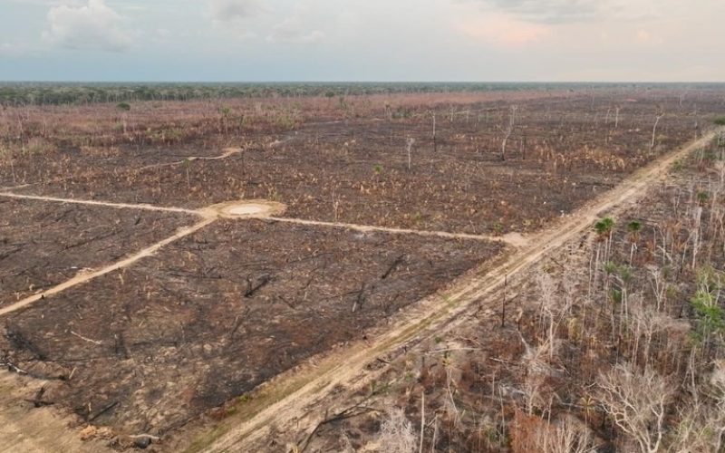 UE define que Brasil é país de ‘risco padrão’ de desmatamento