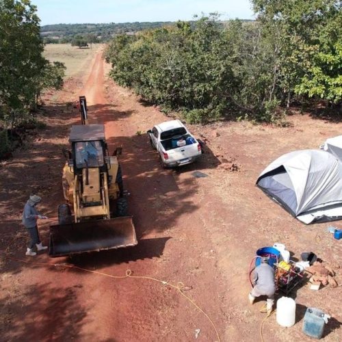 Caso de gripe aviária em aves de subsistência é confirmado em Cuiabá