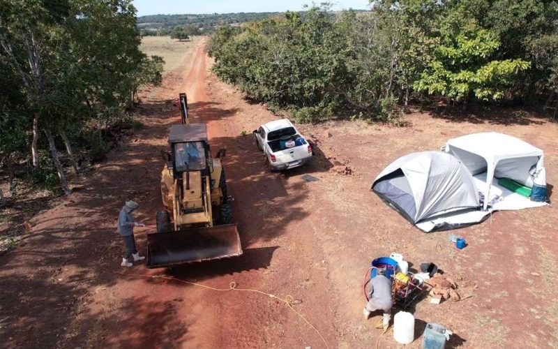 Caso de gripe aviária em aves de subsistência é confirmado em Cuiabá