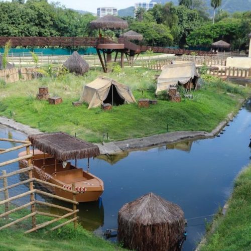 Sobe número de aves mortas no BioParque do Rio devido à gripe aviária