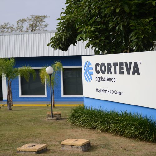 Corteva encerra quarto trimestre de 2025 com prejuízo de US$ 552 milhões