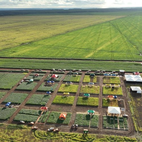 Acionistas da BrasilAgro aprovam R$ 75 milhões em dividendos