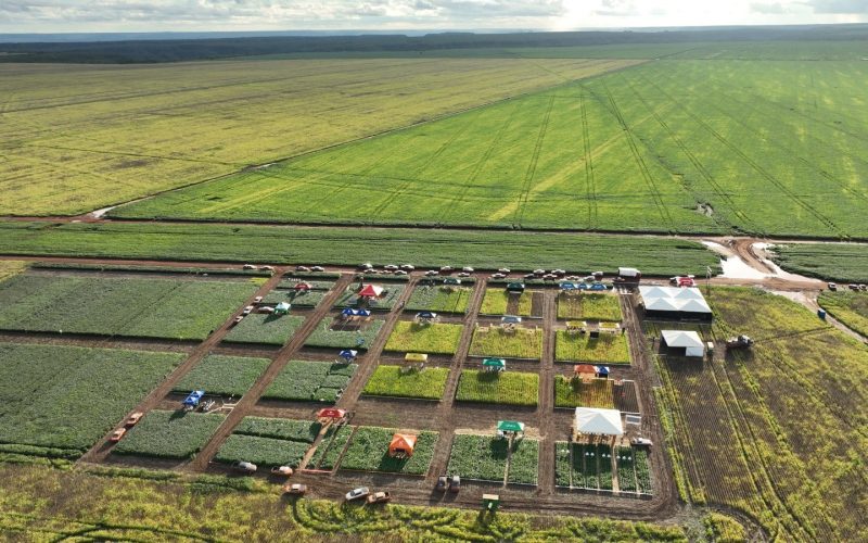 Acionistas da BrasilAgro aprovam R$ 75 milhões em dividendos