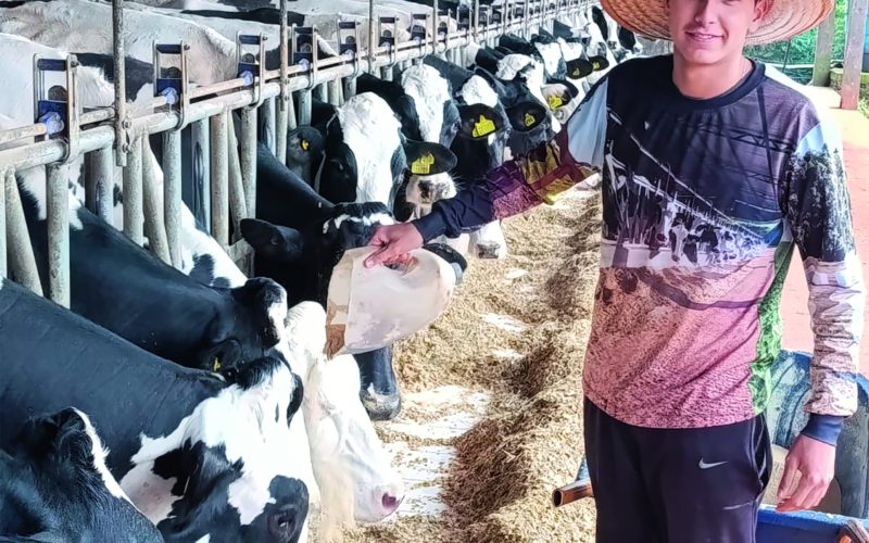 Jovem ajuda família em produção de leite e mostra resultados de sucessão bem planejada