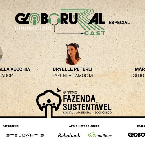 Os campeões da sustentabilidade no agronegócio brasileiro