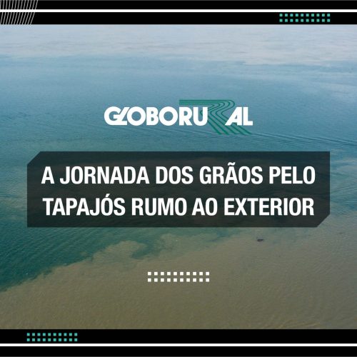 A jornada dos grãos pelo rio Tapajós rumo ao mercado externo