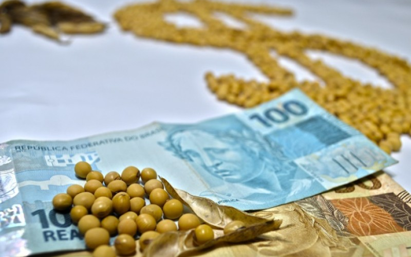 Inadimplência do crédito rural cresce e recuperação é incerta, diz consultoria