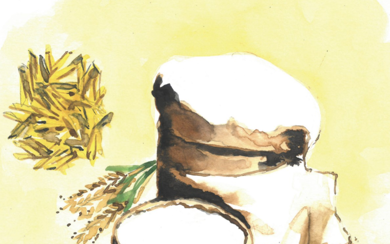 A melhor do agronegócio em Massas e Farinhas: Anaconda