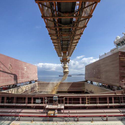 Brasil tem hoje dez navios programados para carregar soja e farelo destinados ao Irã