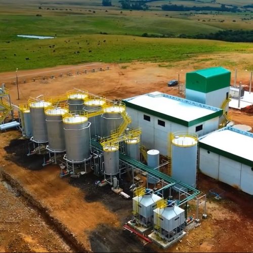 Usina de etanol de trigo recebe licença de operação no Rio Grande do Sul