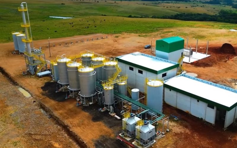 ANP autoriza operação da primeira usina de etanol de trigo do país, no RS