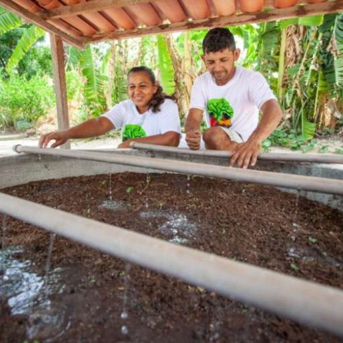 Ceará vai investir mais de 3 milhões em construção de sistemas de reúso de água e fossa ecológica