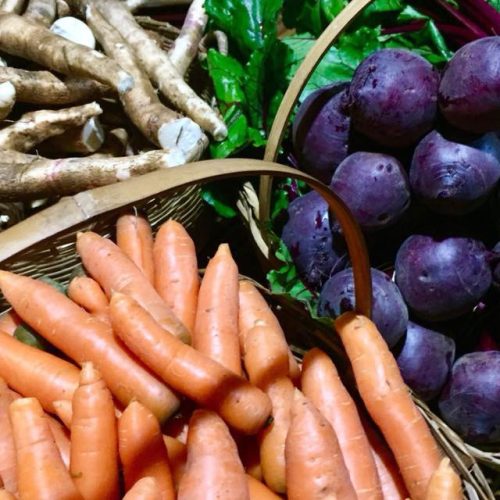 Paraná inicia censo inédito sobre perfil da agricultura orgânica