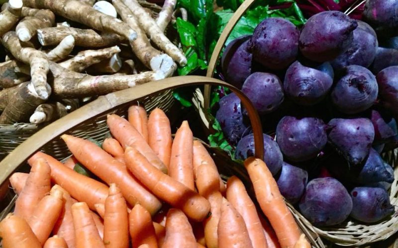 Paraná inicia censo inédito sobre perfil da agricultura orgânica