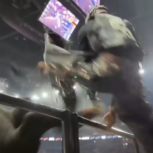 Peão é chutado por touro em direção à plateia durante rodeio