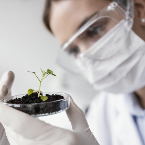 Número de empresas de bioinsumos cresce mais de 600% em 10 anos no Brasil