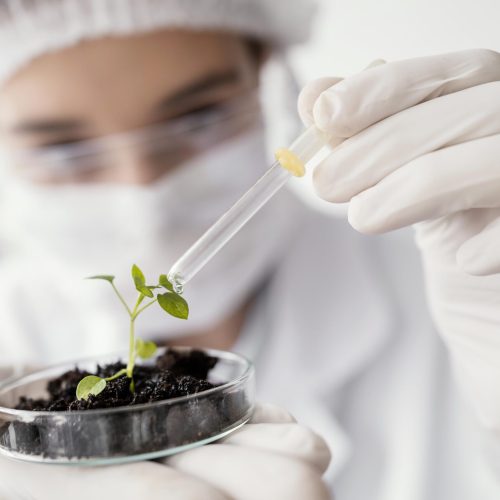 Setor de biossoluções pode movimentar R$ 232 bilhões no Brasil até 2035, aponta estudo