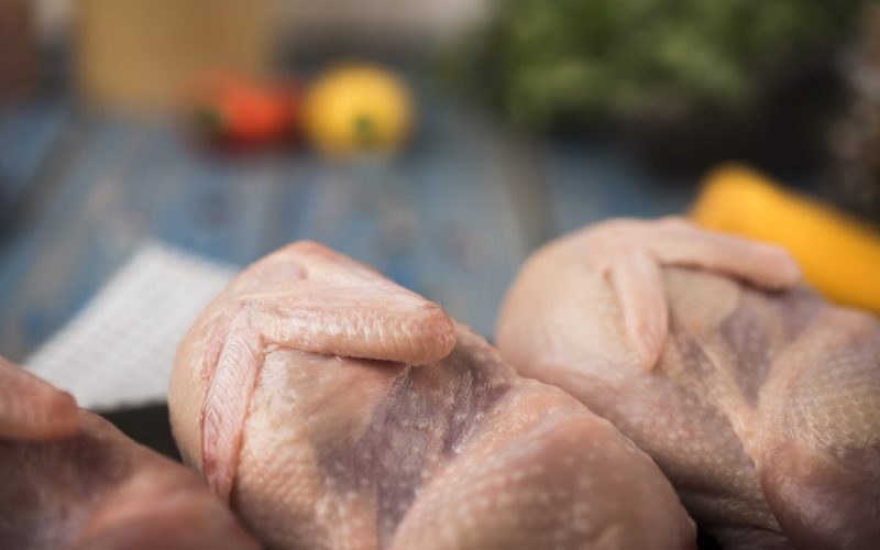 Gripe aviária faz exportações de carne de frango caírem 12,9% em maio