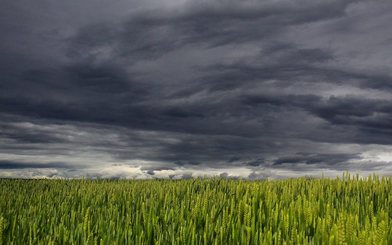 Final de semana tem alerta para chuvas no Sul e Sudeste e calorão no Centro-Oeste