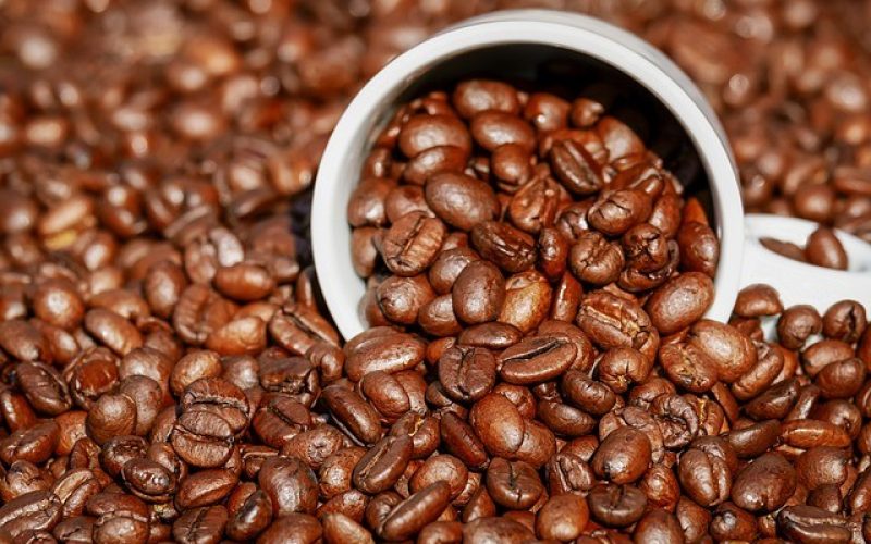 Preços do café recuam em Nova York pressionados por colheita no Brasil