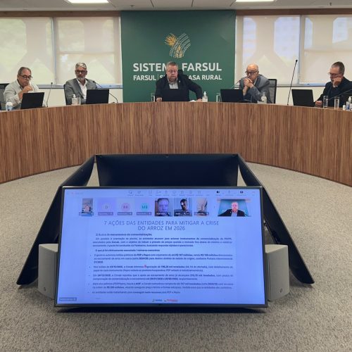 Produtores de arroz do RS temem nova crise de preços em 2026